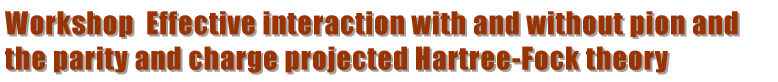 Workshop Effective interaction with and without pion and the parity and charge projected Hartree-Fock theory