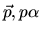 ${\vec {p}},p{\alpha}$