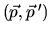 $(\vec{p},\vec{p}\,')$