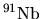 $^{91}{\rm Nb}$