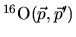 $^{16}{\rm O}(\vec{p},\vec{p}')$