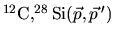 $^{12}{\rm C},^{28}{\rm Si}(\vec{p},\vec{p}\,')$