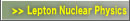Lepton Nuclear Physics