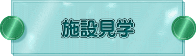 {݌w