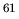 $^{61}$