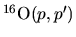 $^{16}{\rm O}(p,p')$